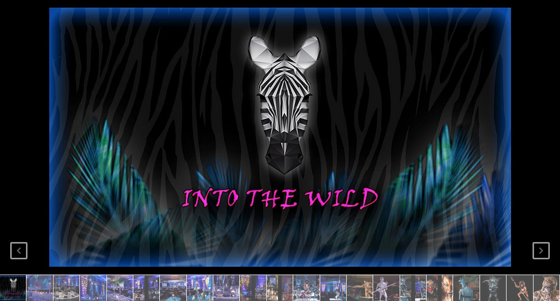 intothewild-desktop-hold