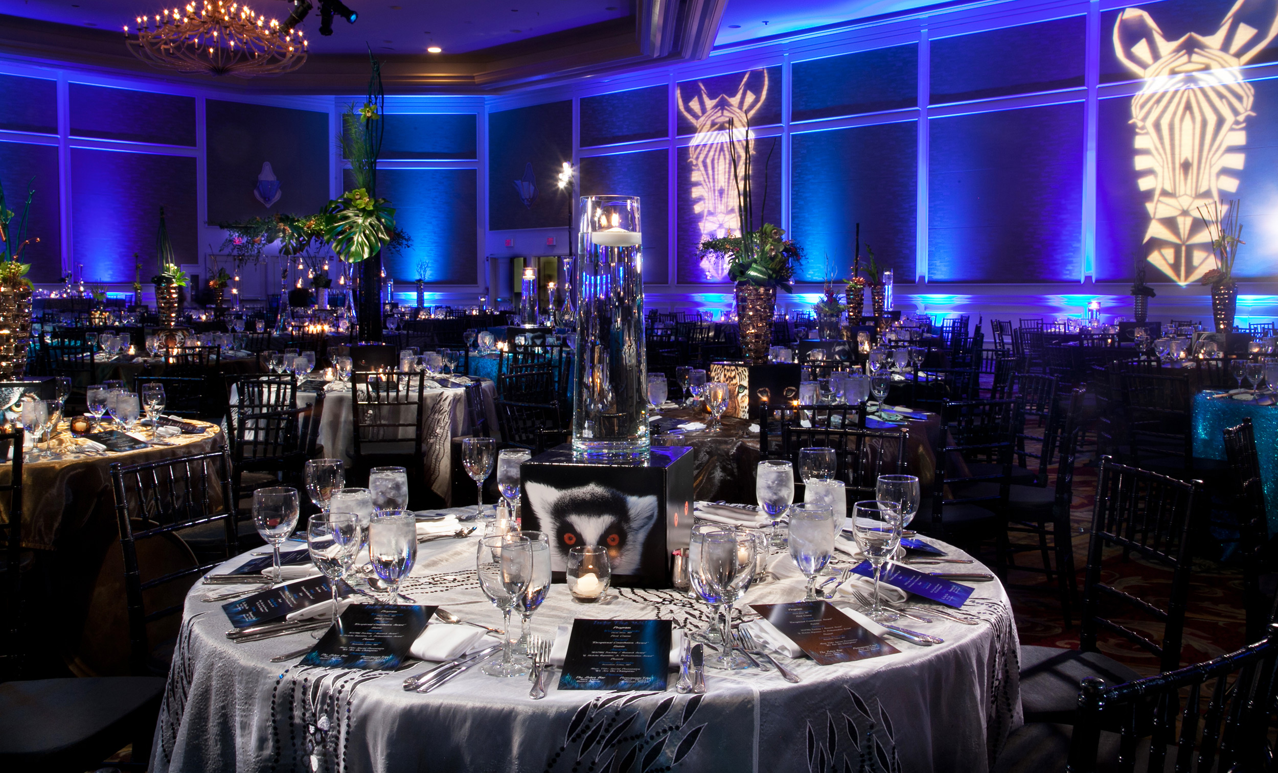 “INTO THE WILD” Corporate Gala